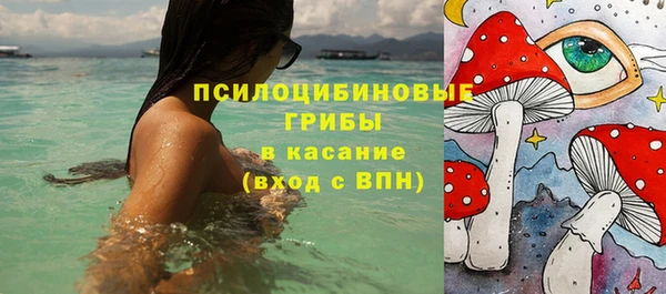 бутират Пересвет
